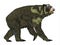 Arctodus Bear Side Profile