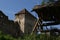 Arcus fortress Church in Transylvania