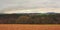 Ardennes landscape,with empty winter rfarmland and forests and hills on a cloudy day