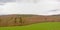 Ardennes landscape with a lush meadow and layers of bare deciduous and pine trees under a cloudy sky