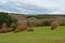 Ardennes landscape, rolling hilsl with pines and deciduous trees under dark clouds