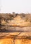 Arduous path, way on an bumpy safari road. Only passable with 4x4 vehicule, offroad in Namibia, africa