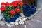 The area around the house is decorated with red geraniums in pots and watering cans.