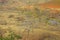 Area around Nagpur, India. Dry foothills with orchards farmers gardens