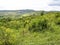 Area of pasture infested with invasive plants and wood stumps