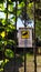 Area video surveillance sign with the camera symbol on a yellow background, attached to a gate with climbing plants, in the morni