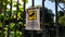 Area video surveillance sign with the camera symbol on a yellow background, attached to a gate with climbing plants, in the mornin