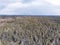 Areal drone photography view to forest with snow on pine trees