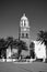 Areal grayscale of a picturesque clock tower with several tall palm trees around