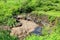 areal view of Small waterfall