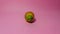 Areca nut on a pink background