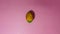 Areca nut on a pink background