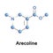 Arecoline nicotinic alkaloid