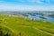 Areial view on vineyards and river near Ruedesheim am Rhein Rhine, Rudesheim, UNESCO World Heritage Site, Rheingau-Taunus-Kreis,