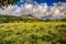 Arenal Volcano in Costa Rica\\\'s Arenal National Park, is seen from a field. Arenal Volcano is a popular tourist destination