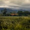 Arenal Volcano landscape