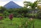 Arenal Volcano and Palm Tree