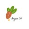 Argan butter. Cosmetic ingredient. Nutritional oil for skin care. Hand-drawn icon of argan nut. Vector illustration