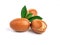 Argan nuts with green leaves on isolated white background. Moroccan Argania Spinosa seeds for the production of oil