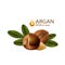 Argan oil Serum Serum Skin Care Cosmetic.