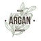 Argan plant isolated icon with lettering herbs shop
