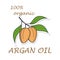 Argan tree branch flat icon. Sticker isolated on white background. Vector illustration.