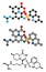 Argatroban anticoagulant drug molecule (direct thrombin inhibitor