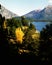 Argentina Bariloche landscape with forest and Lake Nahuel Huapi