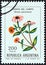 ARGENTINA - CIRCA 1982: A stamp printed in Argentina from the `Flowers ` issue shows Peruvian Zinnia Zinnia peruviana