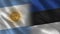 Argentina and Estonia Realistic Half Flags Together