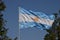 Argentina national flag in wind between trees