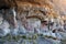 Argentina Santa Cruz the cave with the presence of cave paintings.with hand prints species of fauna guanacos in Patagonia