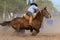 Argentine gaucho in Creole skill games in Patagonia Argentina