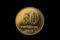 Argentine Gold Fifty Centavo Coin Isolated On Black