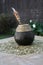 Argentine gourd mate decorated in wood with its yerba mate and metal sorbet