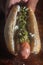 Argentinian choripan. bbq hot dog witch chimichurri sauce and Italian bread