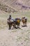 Argentinian man and donkeys carrying bags at the Aconcagua, Argentina