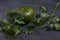 Argentinian`s pumpkin and parsley on a table