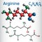 Arginine Arg, R amino acid molecule, it is used in the biosynt