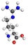 Arginine molecule