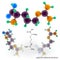 Arginine molecule structure