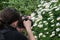 Argyranthemum in a green background. Photographer taking a close up image
