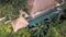 Arial shoot of luxury bungalow villa located in jungles with blue swimming pool and model