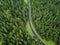 Arial veiw of empty road in green alpine forest. drone shot