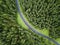 Arial veiw of empty road in green forest. drone shot