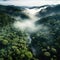 Arial view of a misty rainforest