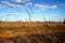 Arid Australian Outback