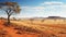arid australian outback remote