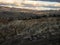 Arid barren badland, wild west desert landscape of Bannockburn Sluicings in former goldmine in Central Otago New Zealand