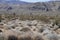 The arid beautiful landscape of the Joshua Tree National Park